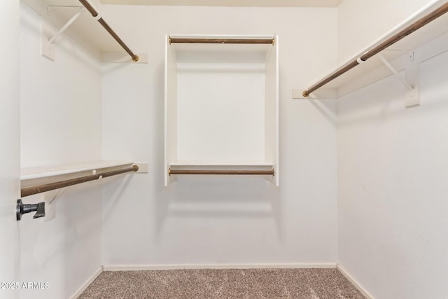 walk in closet with carpet flooring