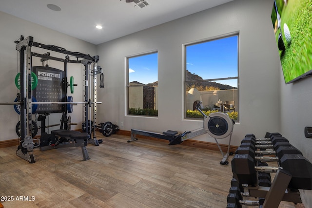 workout room featuring light hardwood / wood-style flooring