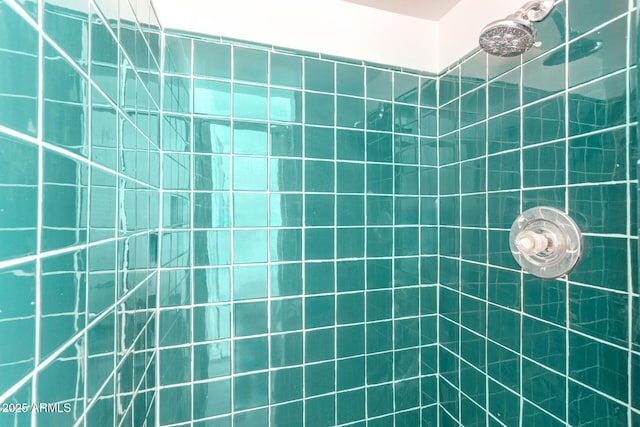 interior space featuring tiled shower