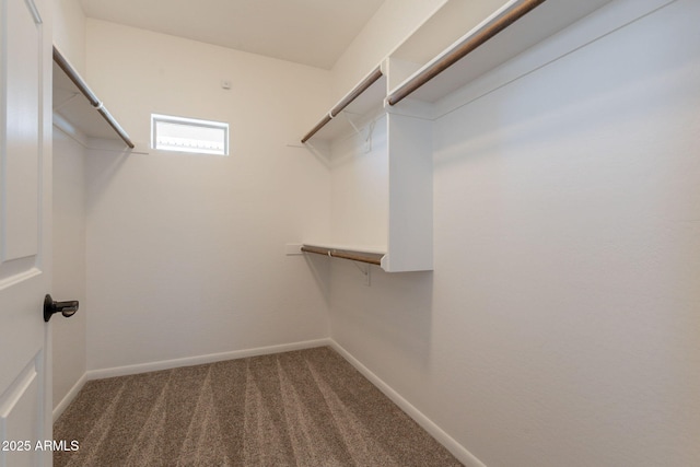 931 E Whiteley St, Apache Junction, AZ 85119 - spacious closet with carpet flooring