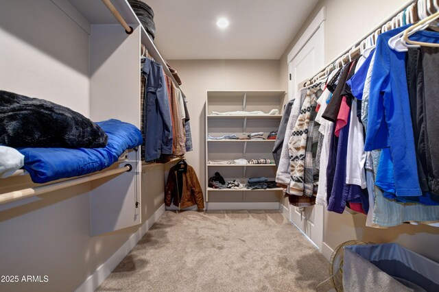 spacious closet with carpet flooring