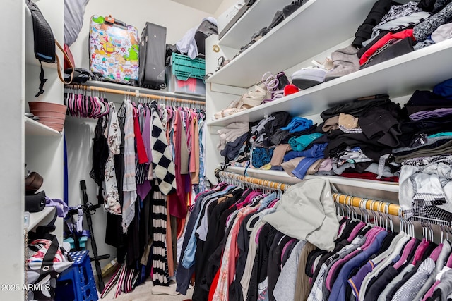 walk in closet featuring carpet floors