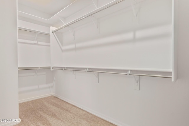 walk in closet with carpet floors