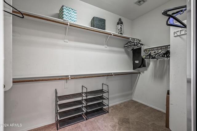 spacious closet featuring carpet floors