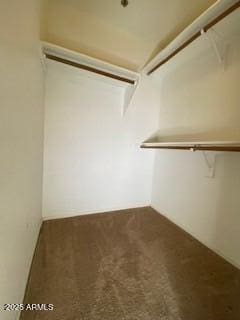 walk in closet with carpet