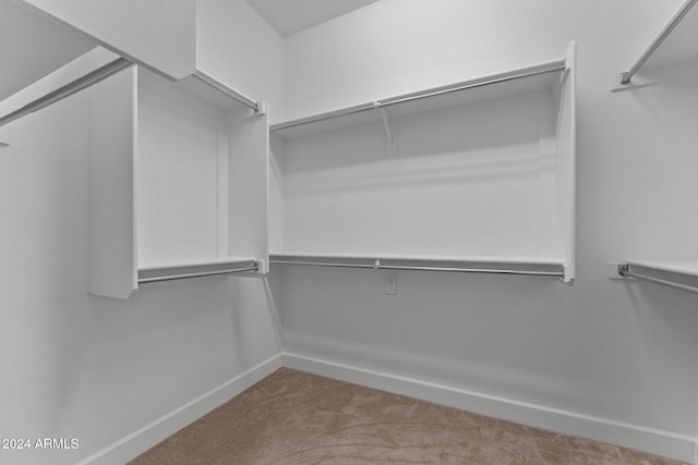 spacious closet with light carpet