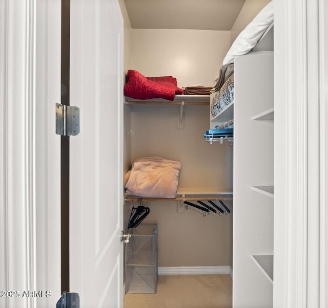 28309 N 156th Way, Scottsdale, AZ 85262 - spacious closet with carpet flooring