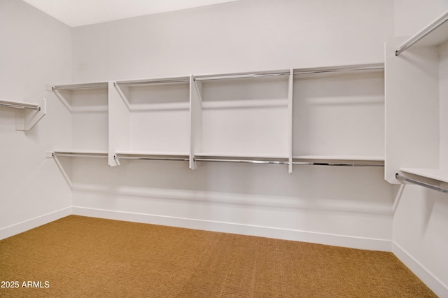 spacious closet featuring carpet floors