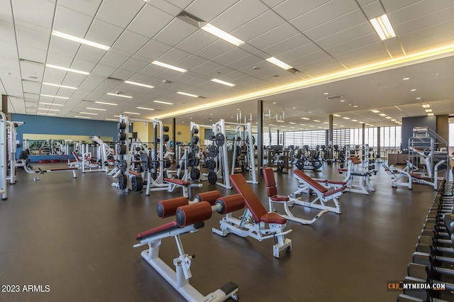 exercise room featuring floor to ceiling windows and a drop ceiling