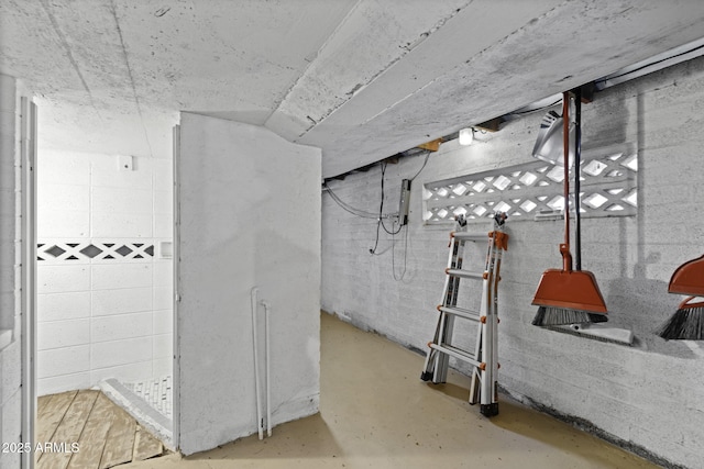 view of unfinished below grade area