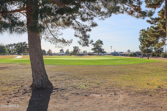 surrounding community featuring a yard