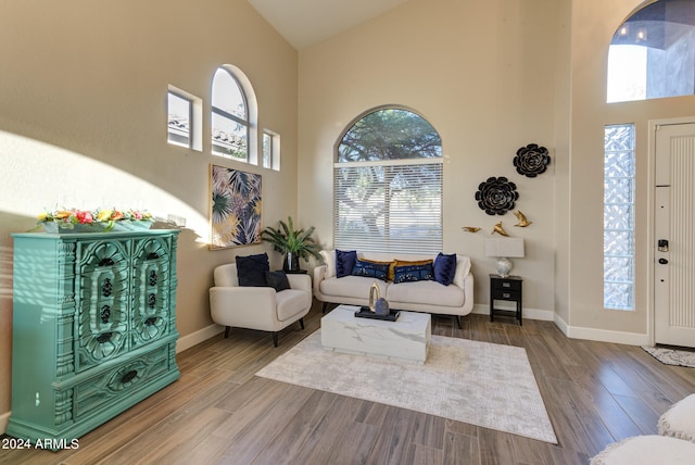 foyer with hardwood / wood-style flooring and a high ceiling