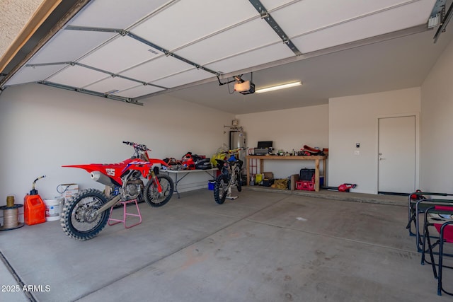 garage with a garage door opener and water heater