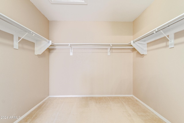 spacious closet featuring carpet flooring