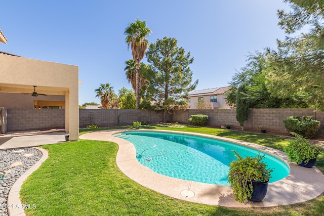 view of pool featuring a patio area and a lawn