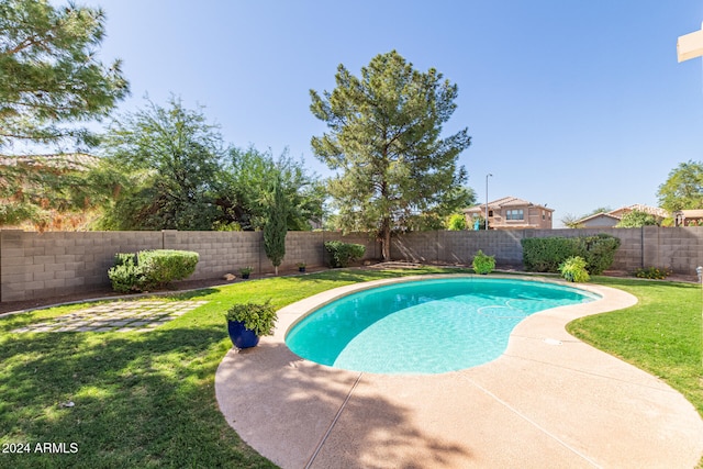 view of pool featuring a lawn and a patio