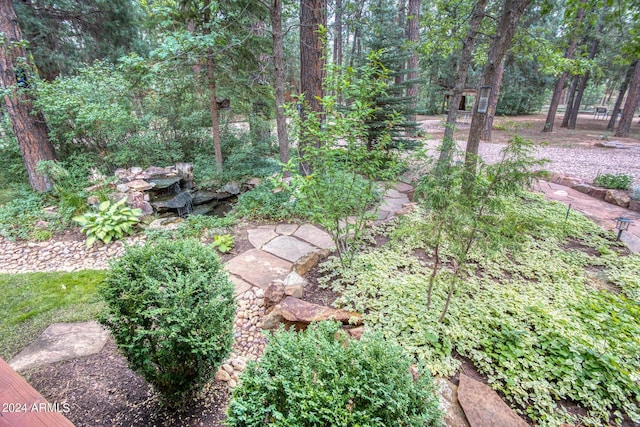 view of yard with a view of trees