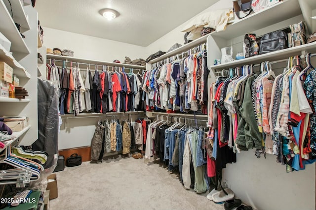 spacious closet with carpet flooring