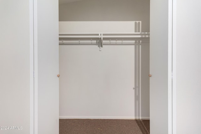 view of closet