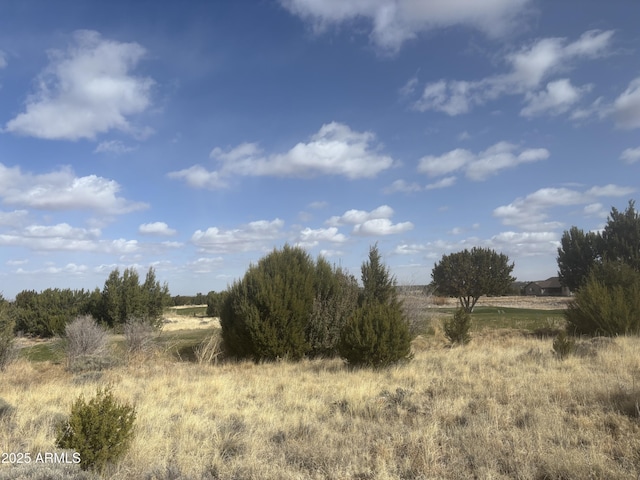 1956 Creekside Cir Unit 38, Show Low, AZ 85901