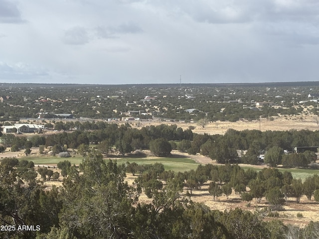 1956 Creekside Cir Unit 38, Show Low, AZ 85901
