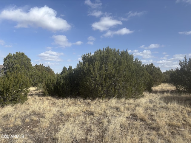1956 Creekside Cir Unit 38, Show Low, AZ 85901