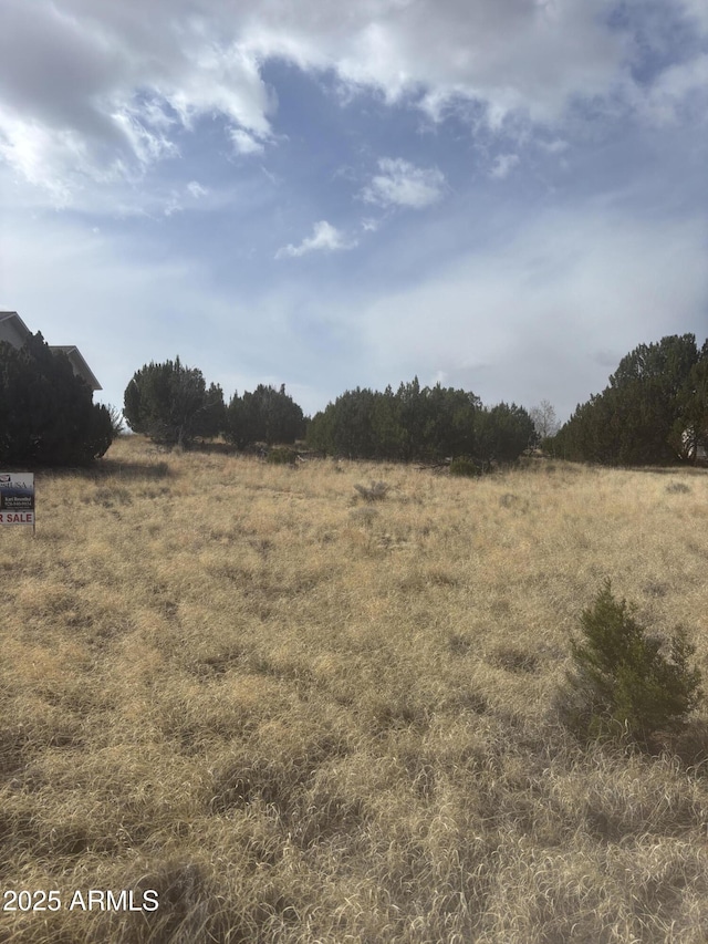 1956 Creekside Cir Unit 38, Show Low, AZ 85901