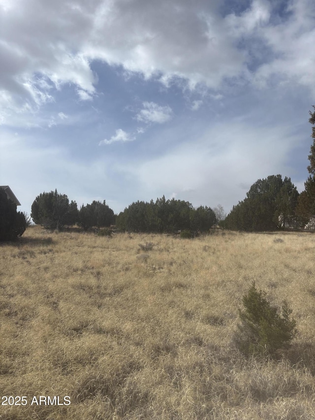 1956 Creekside Cir Unit 38, Show Low, AZ 85901