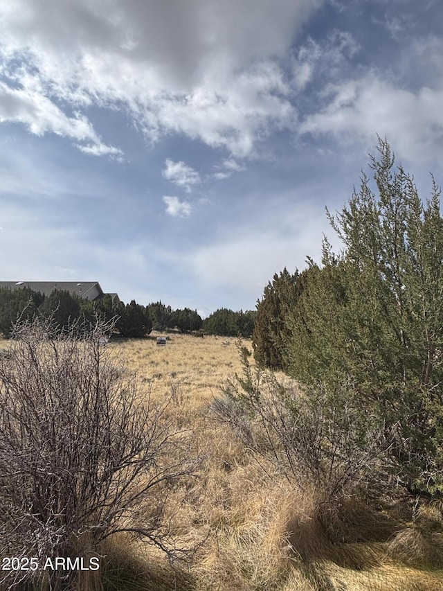 1956 Creekside Cir Unit 38, Show Low, AZ 85901