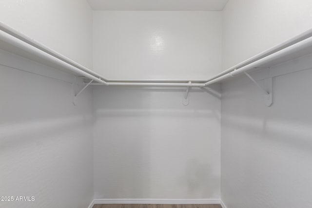 walk in closet featuring hardwood / wood-style flooring