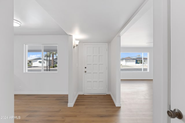 foyer with a wealth of natural light and hardwood / wood-style floors