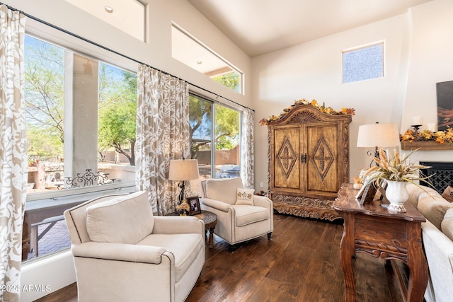 sitting room with high vaulted ceiling and dark wood-type flooring