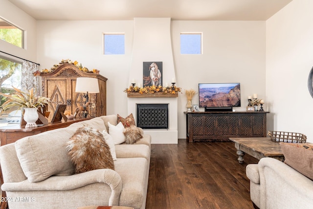 living room with dark hardwood / wood-style flooring