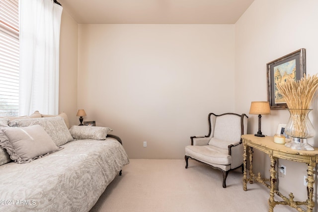 bedroom with carpet flooring