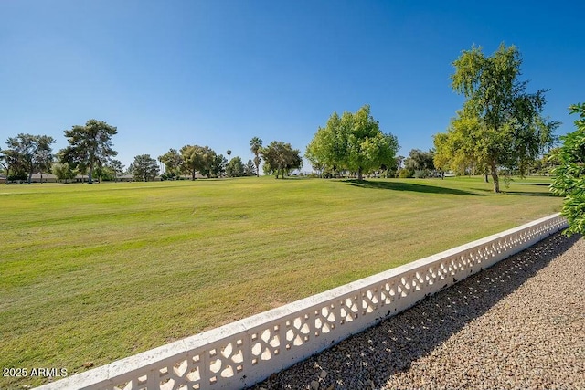 view of community with a lawn