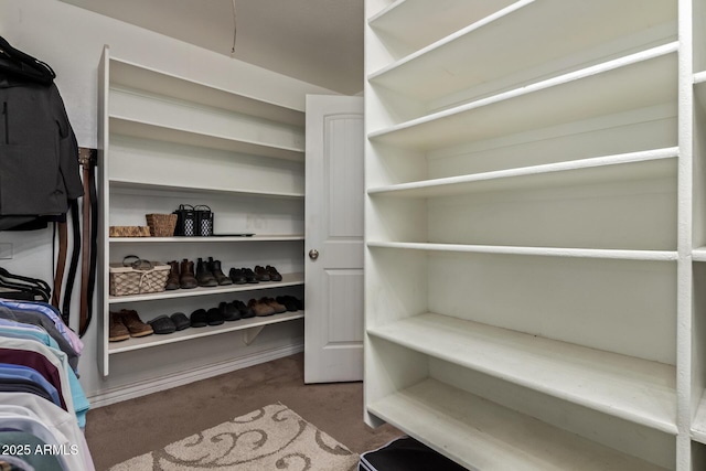 36641 N Railway St, San Tan Valley, AZ 85140 - view of walk in closet