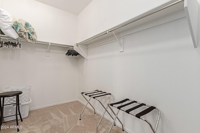 spacious closet featuring light colored carpet