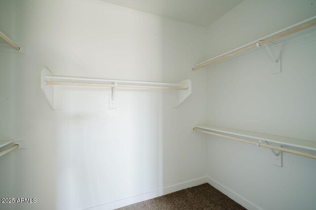 spacious closet featuring carpet flooring