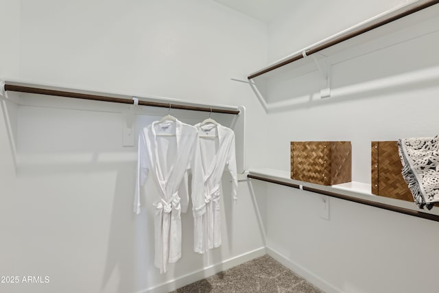 3129 S 155th Ln, Goodyear, AZ 85338 - walk in closet with carpet
