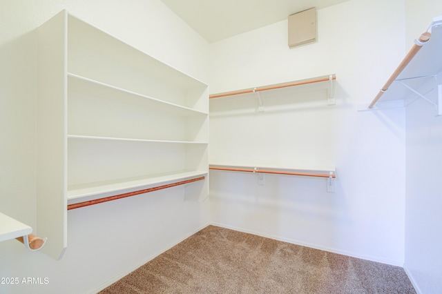 1470 W Bartlett Way, Chandler, AZ 85248 - spacious closet featuring carpet floors