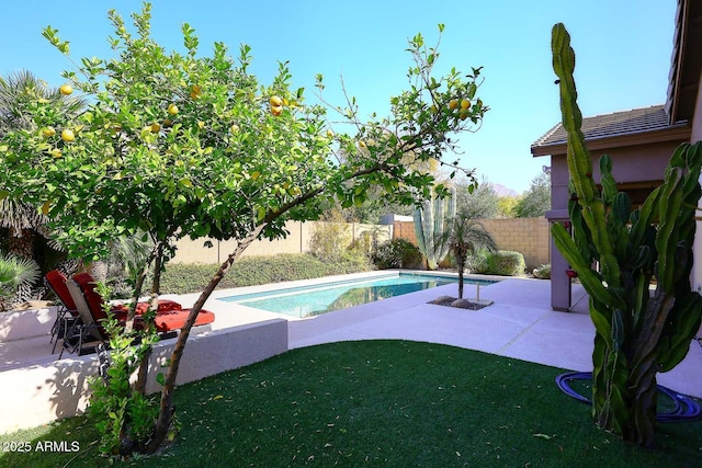 view of swimming pool with a patio area, a fenced in pool, and a fenced backyard