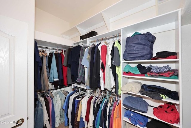 view of spacious closet