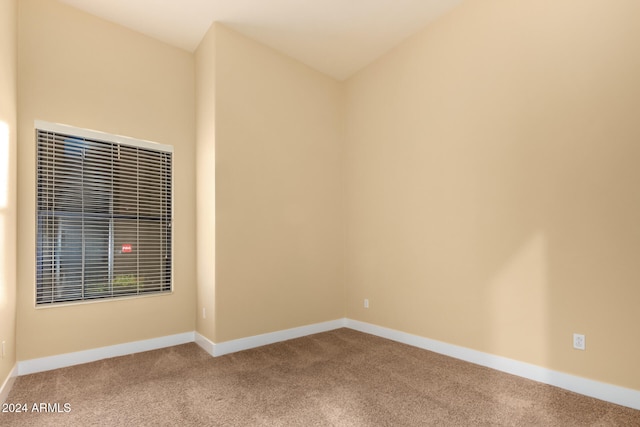 empty room featuring carpet