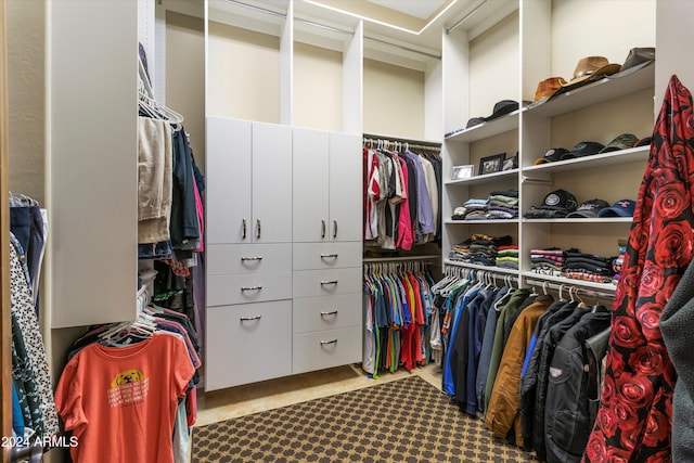 view of walk in closet