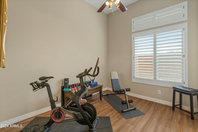 workout room featuring ceiling fan, plenty of natural light, and light hardwood / wood-style floors