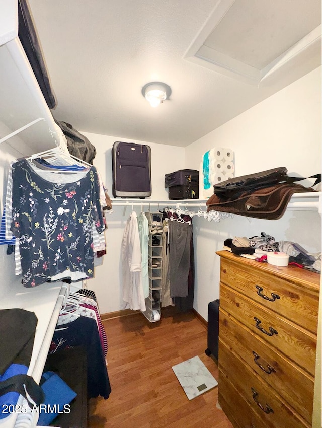 walk in closet featuring dark hardwood / wood-style floors