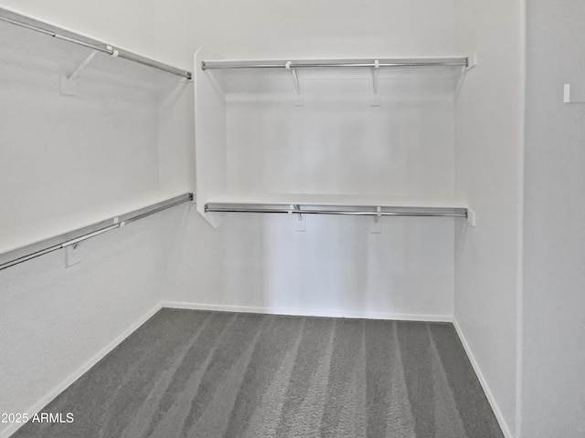 8616 S 57th Dr, Laveen, AZ 85339 - view of spacious closet