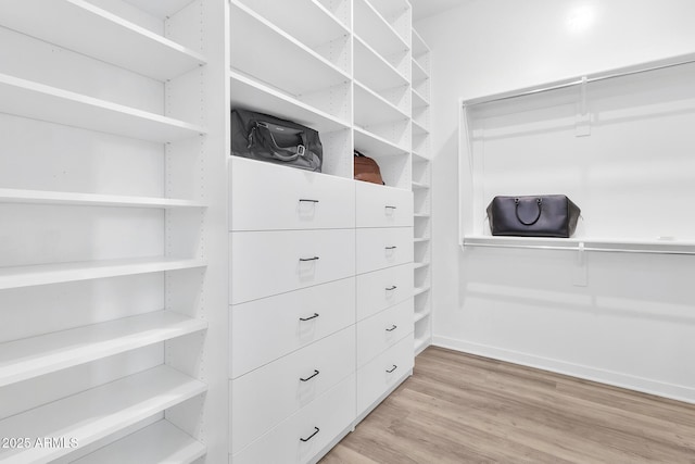 spacious closet featuring light wood-type flooring