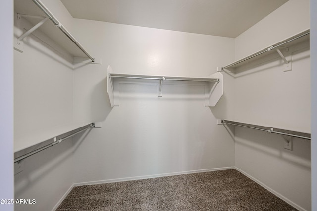 5418 W Carson Rd, Laveen, AZ 85339 - walk in closet with carpet flooring