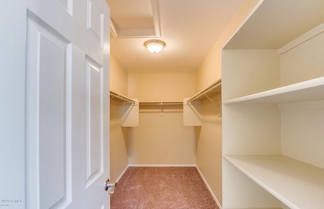 spacious closet with carpet flooring